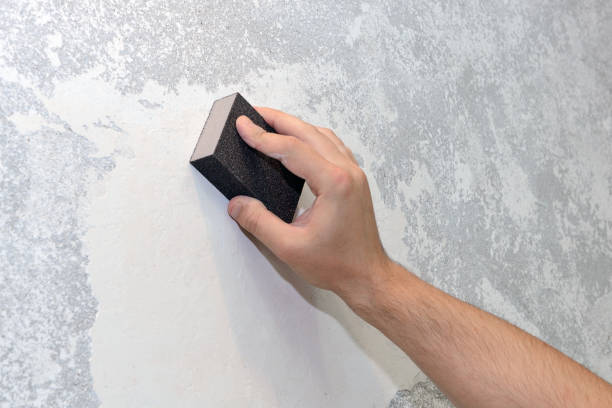Best Mold Documentation for Insurance Claims  in Brazil, IN