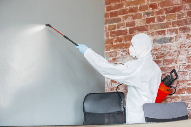Best Air Quality Testing for Mold Spores  in Brazil, IN