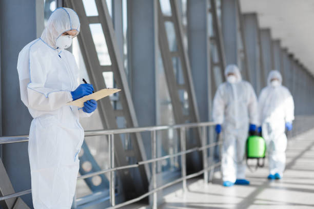 Best Basement Mold Removal  in Brazil, IN