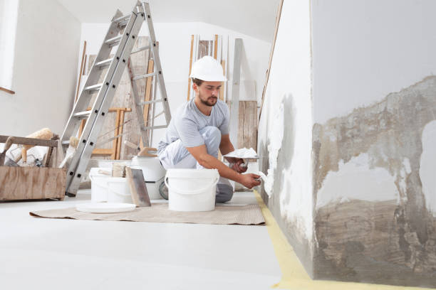 Best Industrial Mold Remediation  in Brazil, IN