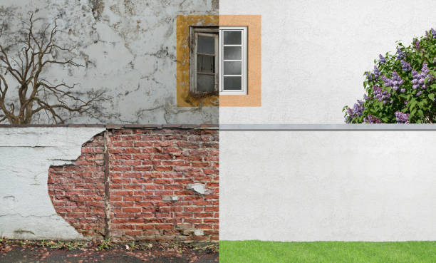 Best Mold Removal for HVAC Installations  in Brazil, IN